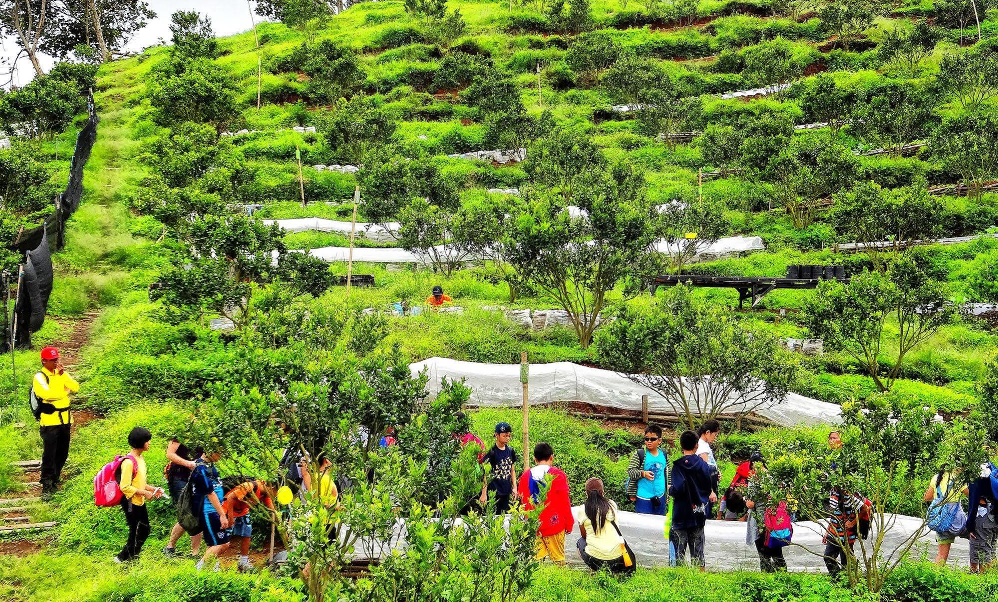 Taman Simalem Resort Tongging Экстерьер фото